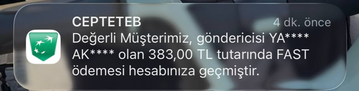 Transfer kaydı ekran görüntüsü 1